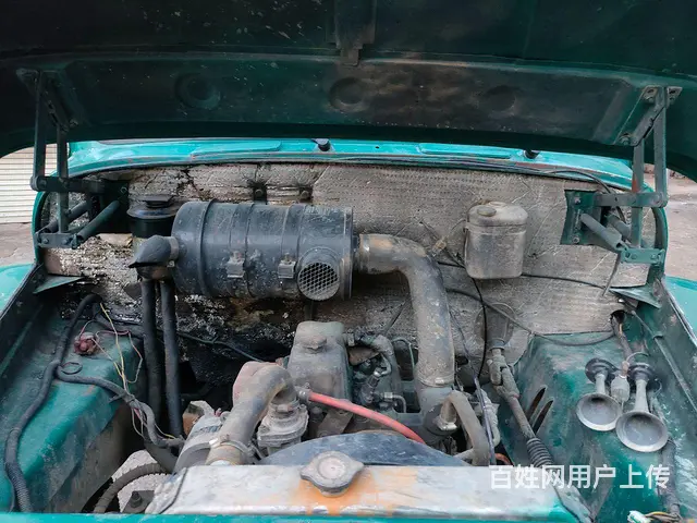 钦机海龙 - 图片 4