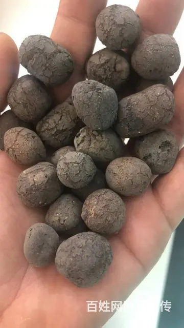 桂林陶粒回填陶粒厂家 工地填充 厨卫回填专用陶粒 - 图片 2