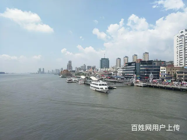 征婚 - 图片