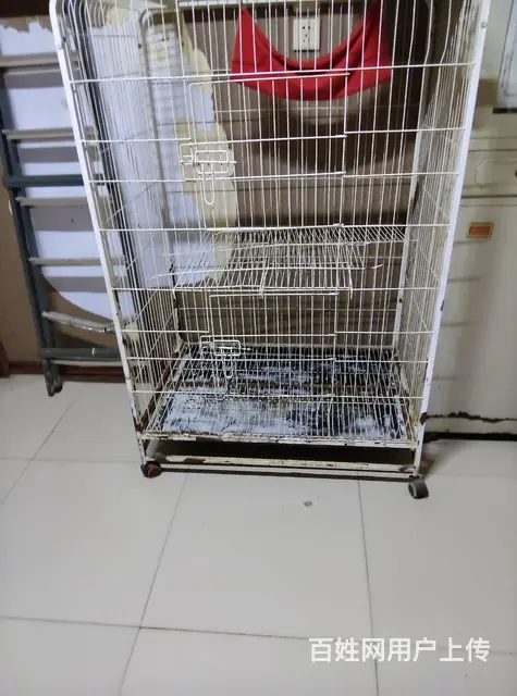 沙发，玩具，跑步机 - 图片 8
