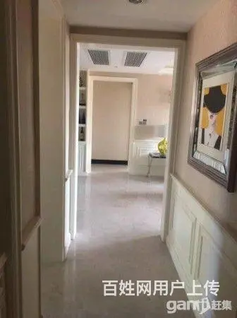 地产十强,三面环水景观别墅,总价200万双拼别墅 - 图片 5