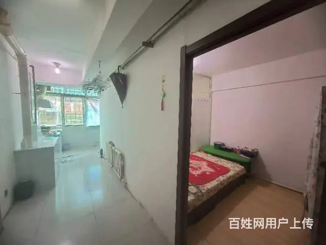 出租 - 图片 3