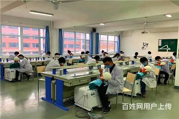 2024金乡卫校招生什么时候截止？ - 图片 3