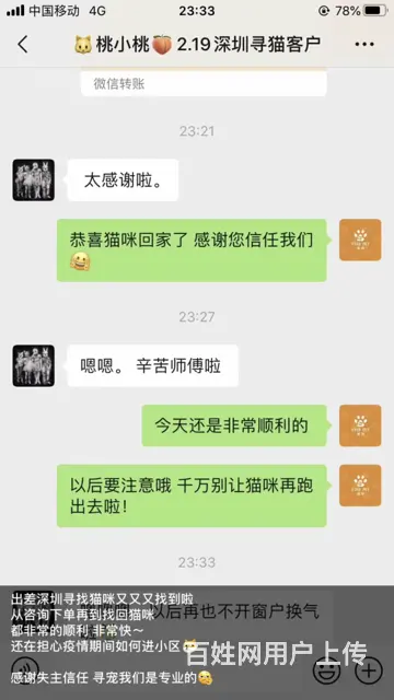 苏州猫咪丢了怎么找 专业找猫寻狗团队来帮你 - 图片 10