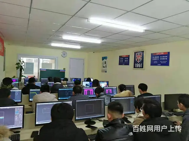 英语、日语、韩语等语言培训线上线下同步结合 - 图片 4
