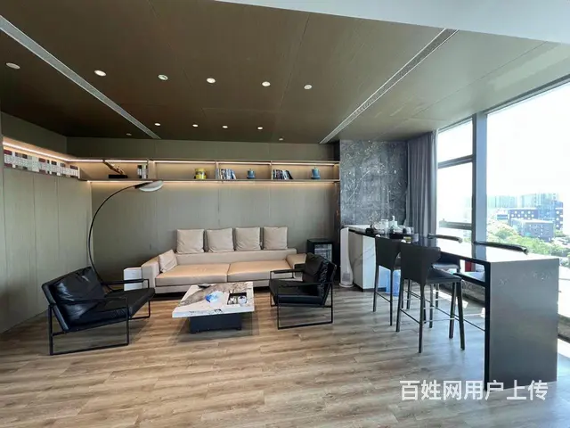 汇金大厦1100平整层出租 豪华装修带家具 现房拎包入驻！ - 图片 11