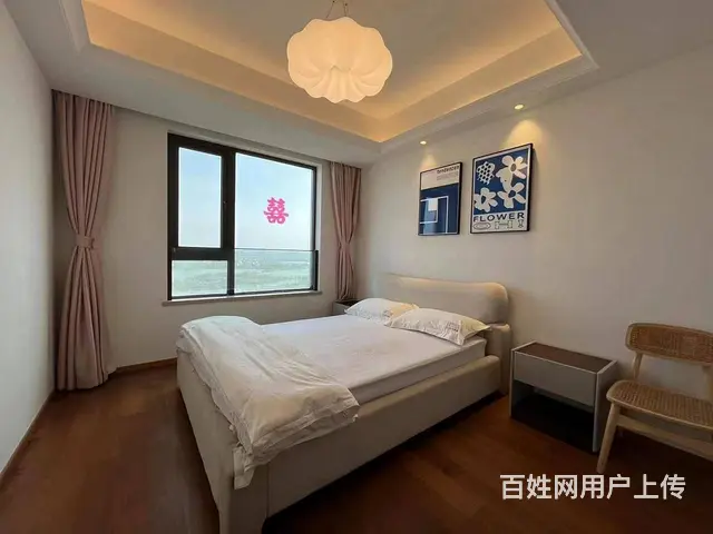 出门武汉站 东湖旁 近杨春湖实验学校 欢乐天际 徐 - 图片 4