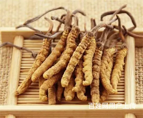 白云冬虫夏草回收价钱是多少 - 图片 6