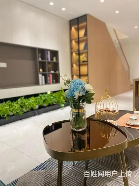 实小陪读吾悦地铁口万达双商圈首付十几万买复试挑高赠送阳台 - 图片 10