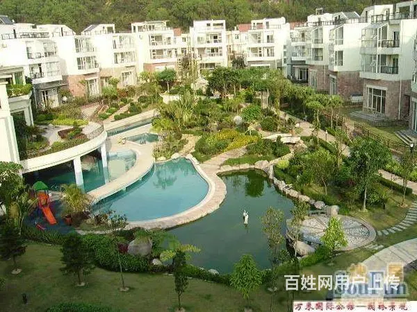 外地可购 专业15年 专卖了解 万和国际公馆 亨泰山庄旁 - 图片 4