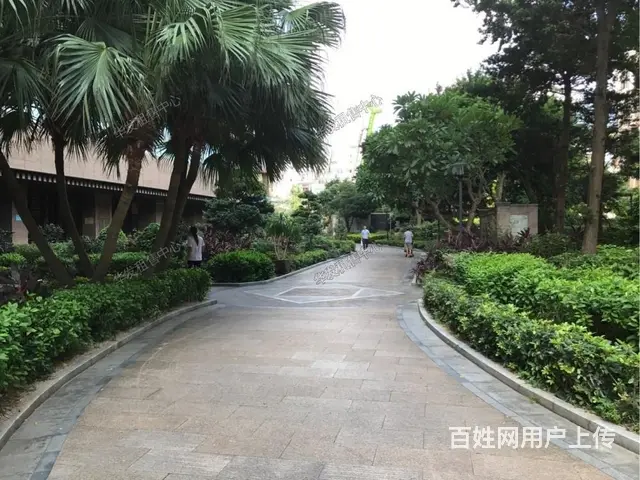 吉大 九洲钟学旁 景山一号 精装3房2卫 有车位 - 图片 12