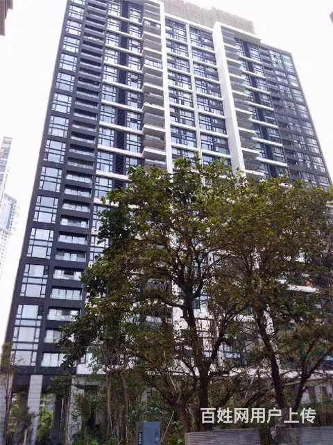 中信红树湾北区 看河景 126平方 保养新 通透 诚心出售 - 图片 11