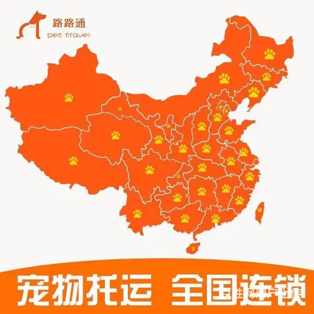 常州宠物托运公司，托运宠物，上门接宠 - 图片 3