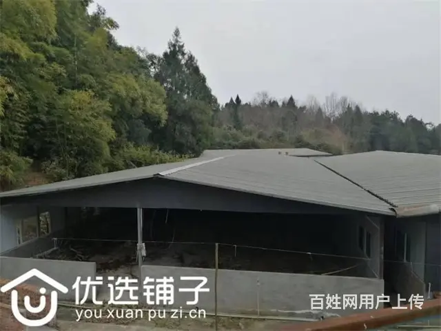 （优选铺子）巴州区曾口镇2200平养殖3万出租（可出售） - 图片 2