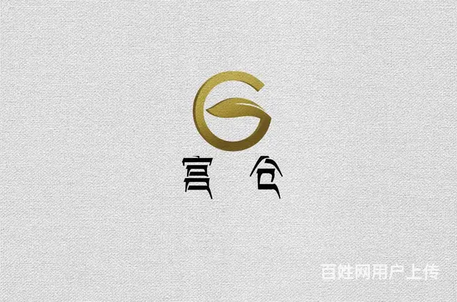 西宁专业logo设计就到青海乐舟，因为专业所以选择 - 图片 8