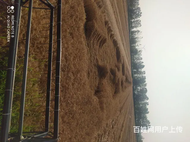 沃得 - 图片 2