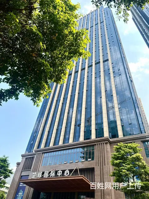 楚峰国际中心地铁金融城站无押金单价59元一平 - 图片 9
