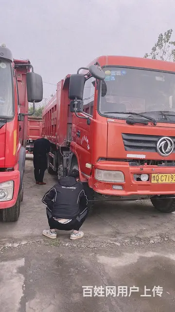 出售轻皮前四后八自卸车 - 图片 11