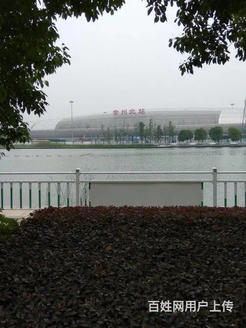 水韵江南别墅群 房东诚心出售 价格好说近常州北高铁 - 图片 10