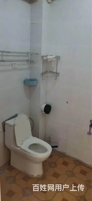 新北园春市场旁和顺欧典花园小区出租 - 图片 4