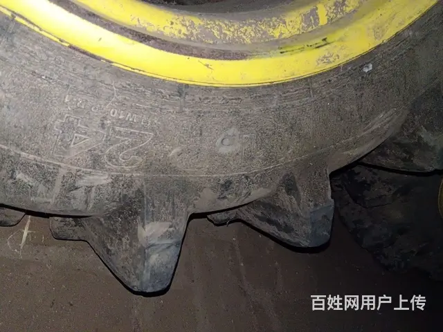 11.2-24水田高花 - 图片 3