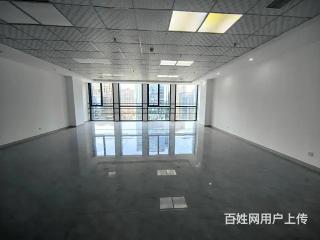 新城绿地商务蓝海120平高层纯办公 - 图片 6