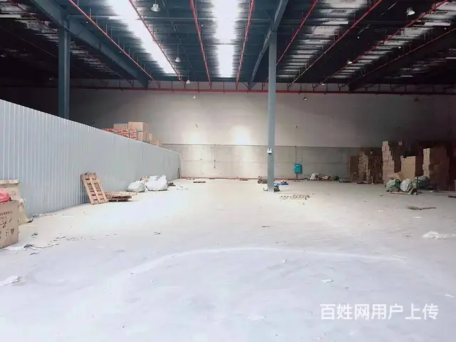 （老板本人）望城金桥仓储物流中心一楼厂房仓库优价出租6118 - 图片 5