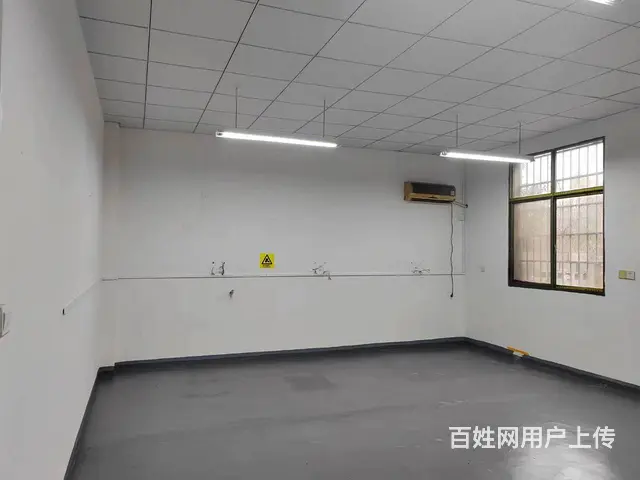 （老板本人）天心区大托铺独门独院厂房仓库低价出租  6016 - 图片 6