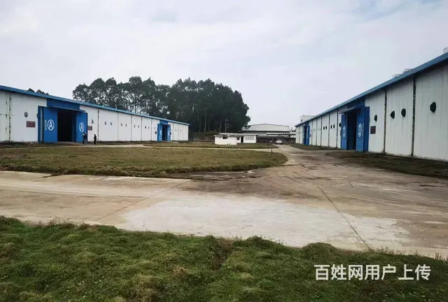 秀英区永桂路期货仓库400-18000平招租9米层高 - 图片 2