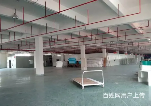 昆山开发区标准厂房出租 可分租 - 图片 1