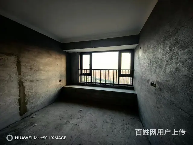 新区  示范区实验 东方府 电梯洋房 毛坯房 - 图片 2