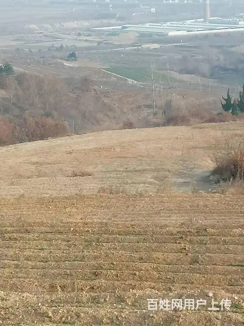微信联系价格面议威海乳山一百亩土地转让可分开小面积转让 - 图片