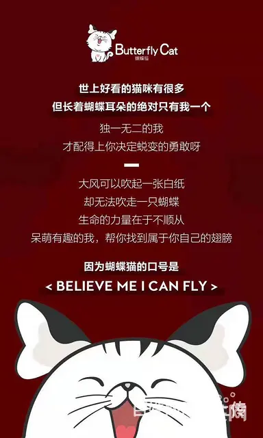 山西蝴蝶猫微商南昌总代理是谁—安娜团队*牛 - 图片 7