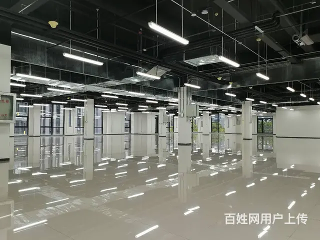 四层5700平独栋办公楼  沈阳国际软件园甲方招商 送免租期 - 图片 10