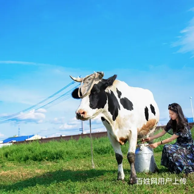 呼伦贝尔旅游靠谱师傅巴特尔 - 图片 1