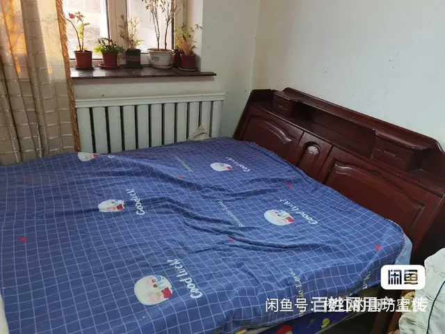 双人床，单人床，衣柜 - 图片 8