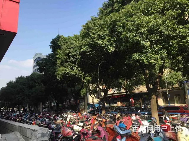 局小实验！电梯房！地段！的资源！金鼎公寓 - 图片 11