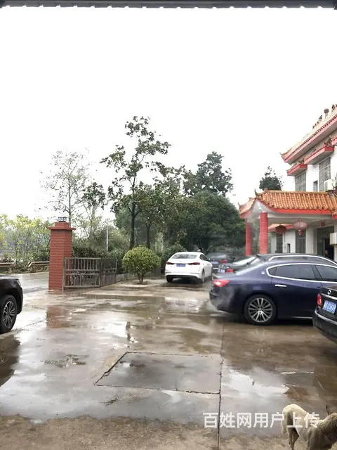 (房东直租)干杉黄江公路旁1一400平厂房/仓库优价出租 - 图片 2