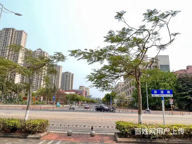 （51旺铺推荐）金濂路2400平临街整栋别墅招租 - 图片 12