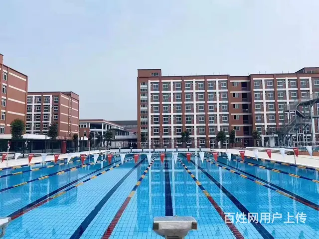 淄博哪里做游泳池 - 图片 2