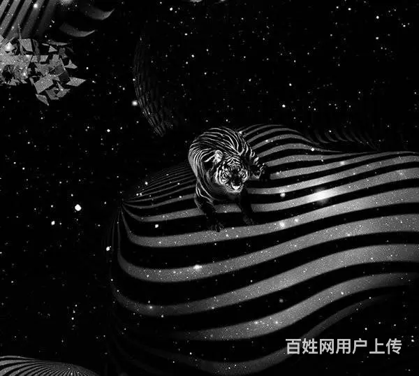 杭州平面设计学习|版式设计技巧 - 图片