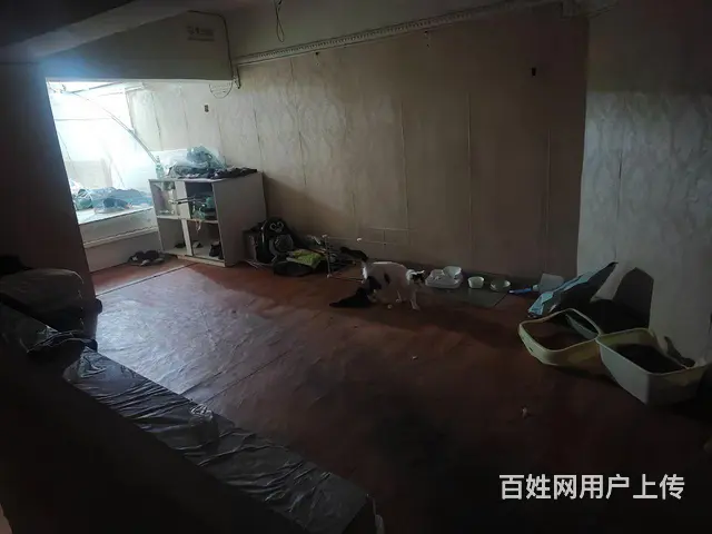 店铺转让 - 图片 10