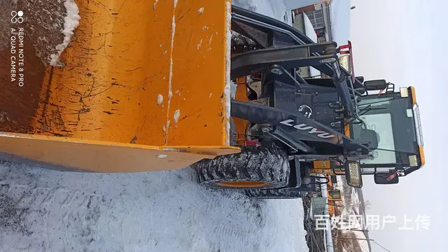 一年车 - 图片 3