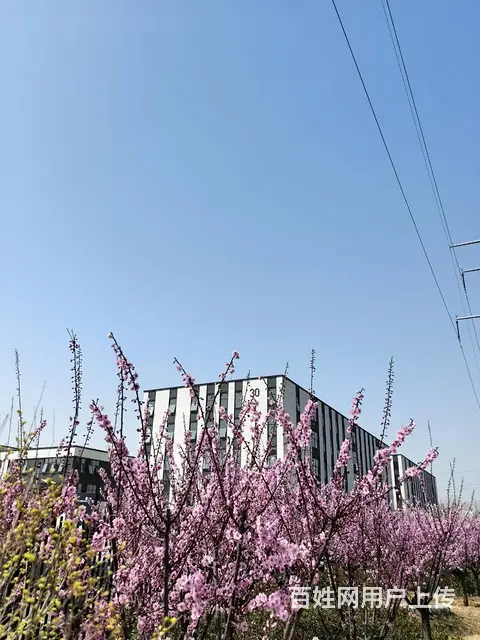 全款106万买400平临街大产权厂房 - 图片 8