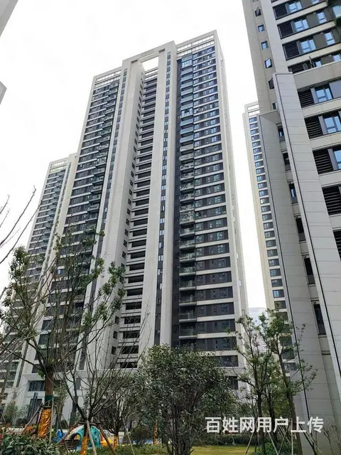 4号线园林路地铁欢乐谷金地广场福星惠誉东湖城拾景精 - 图片 11