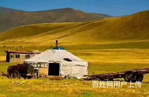 呼伦贝尔旅游包车师傅推荐好的包车师傅 - 图片 8