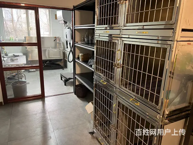 （城市快讯免费推荐）鼓楼区凯旋门中环广场宠物店转让 - 图片 4