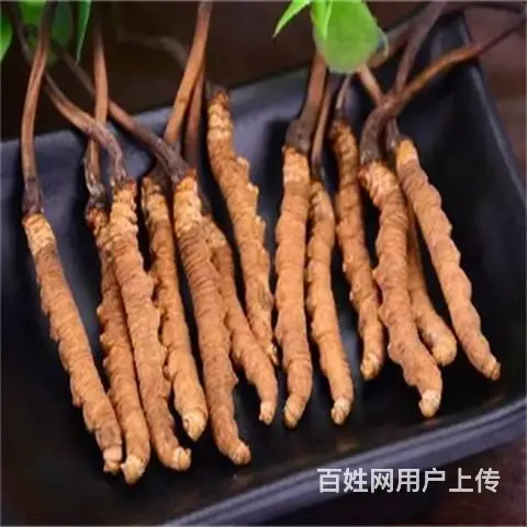 从化诚信上门回收2000条冬虫夏草一克多少钱 - 图片 4