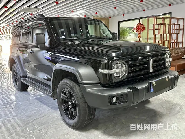坦克300 - 图片 1