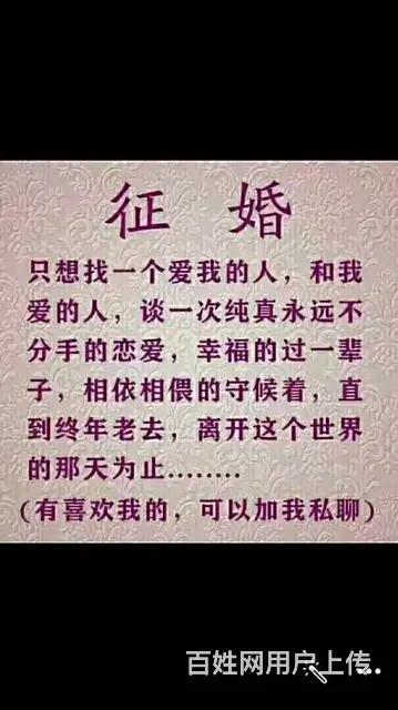 单身贵族我来了 - 图片